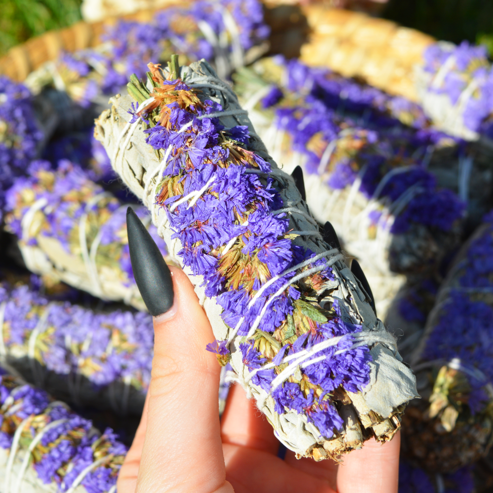 Vijolična sinuata in beli žajbelj